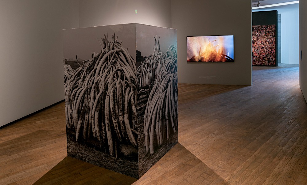 exhibicion_foto_10440_sala_4.jpg