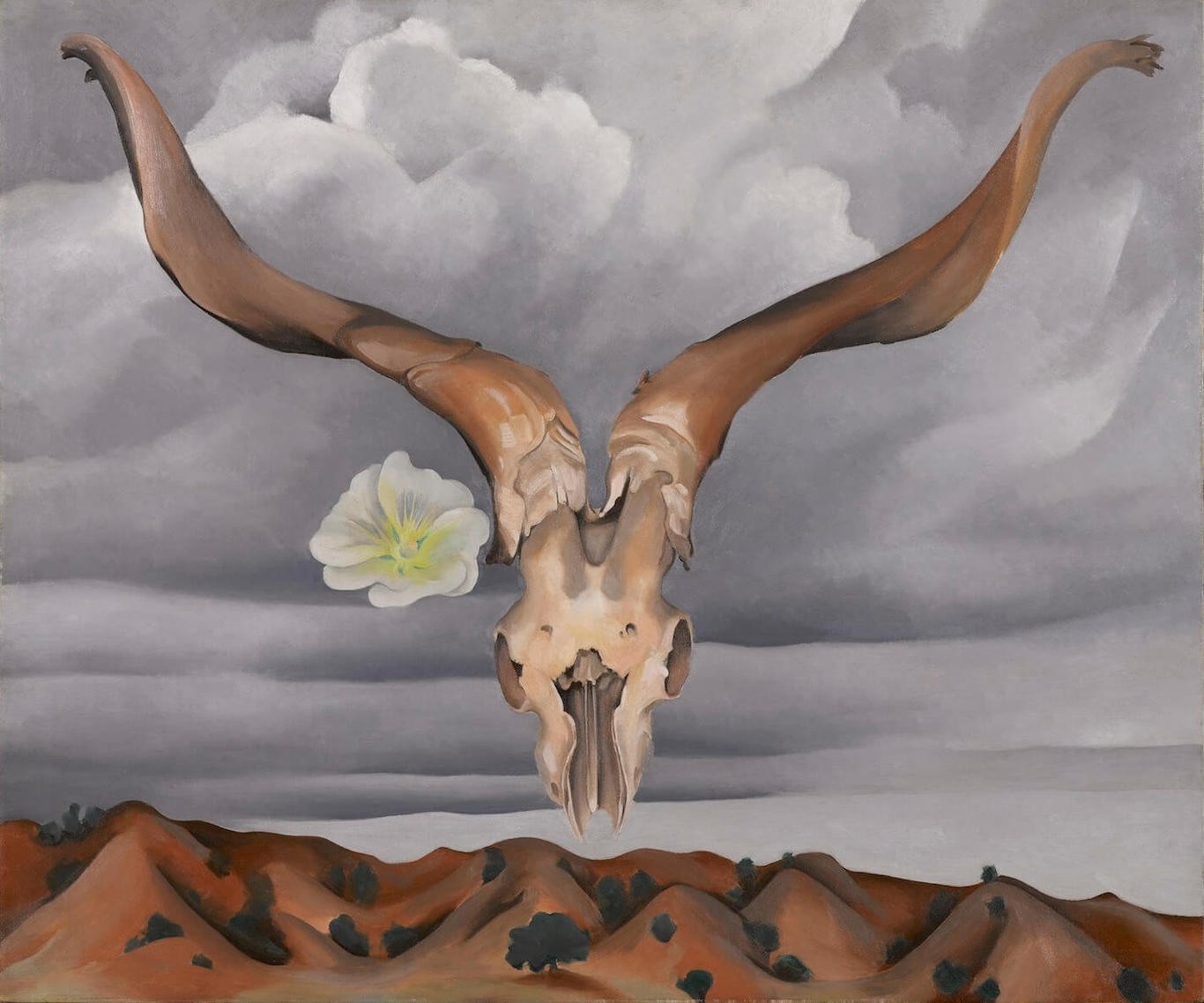 rams-head_copy.jpg