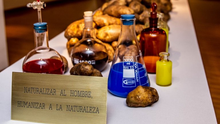 Víctor Grippo en Junín (Argentina): el homenaje de su ciudad natal