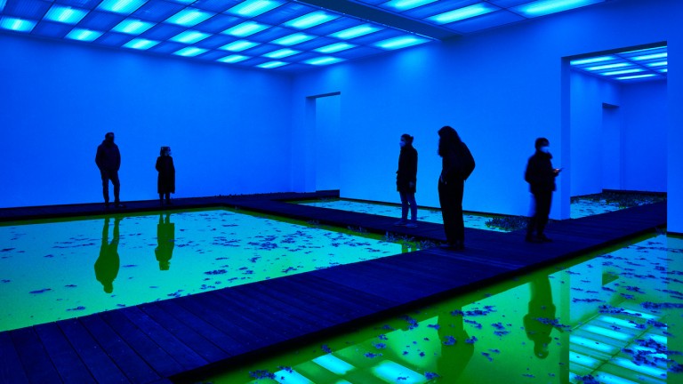 Olafur Eliasson y el arte ecosistémico en Life