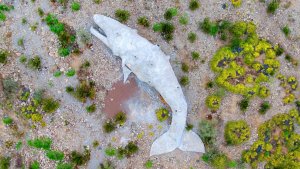 Foro Conexión arteba 2025 (Argentina): una conversación constante 