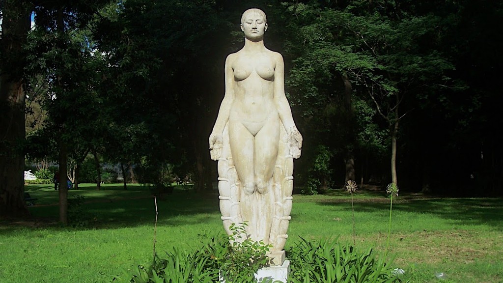 Flor indígena, de Gonzalo Pondal Leguizamón