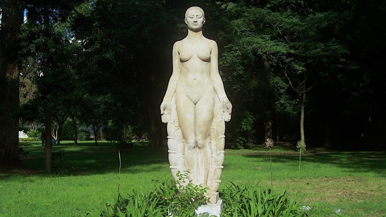 Flor indígena, de Gonzalo Pondal Leguizamón