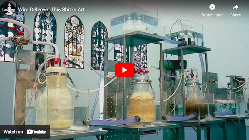 Wim Delvoye: This Shit is Art