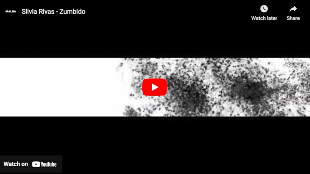 Silvia Rivas - Zumbido (dinámicas)