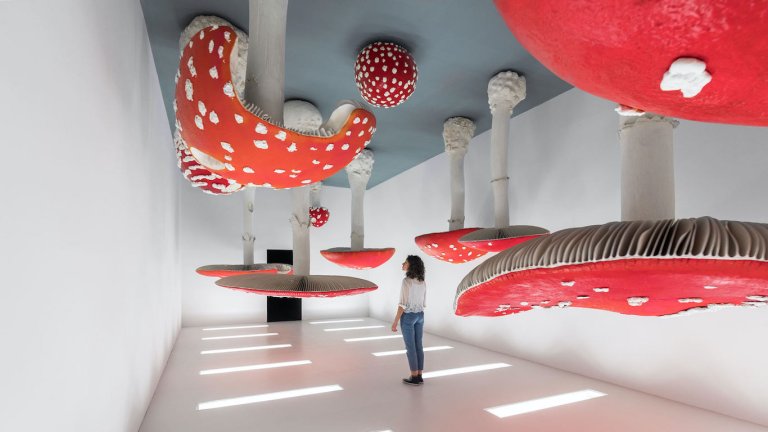 Carsten Höller: entre el placer y la locura 