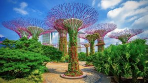 Jardines de la Bahía (Singapur): el paraíso botánico del Sudeste Asiático