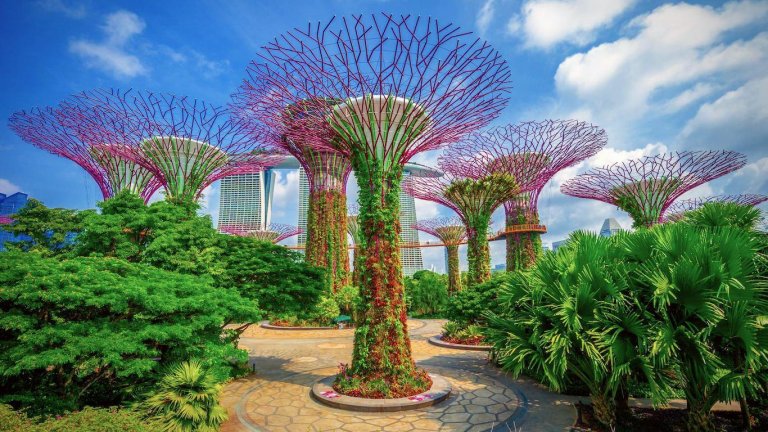 Jardines de la Bahía (Singapur): el paraíso botánico del Sudeste Asiático