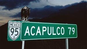 El arte del robo según Miguel Calderón