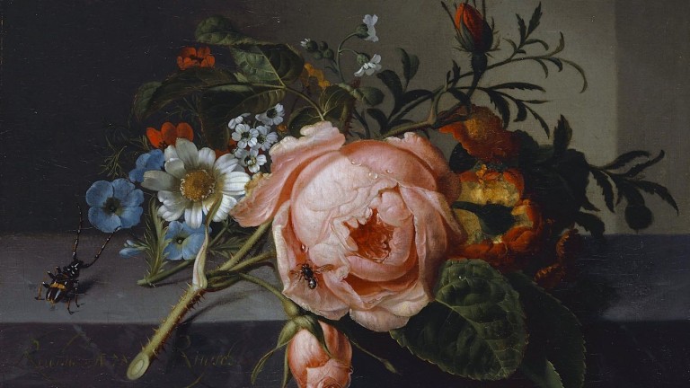 Rachel Ruysch: los maravillosos bodegones florales