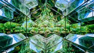 Instituto Inhotim (Brasil): la naturaleza imita al arte